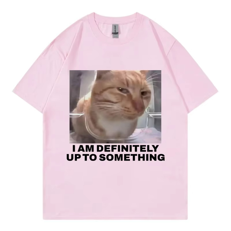 I Am Definitely Up To Somethin - огляд і ціна Street Fashion Definition