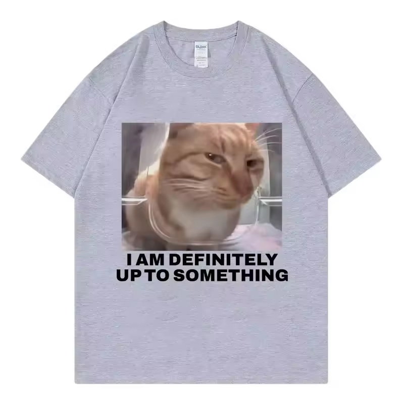 I Am Definitely Up To Somethin - огляд і ціна Street Fashion Definition