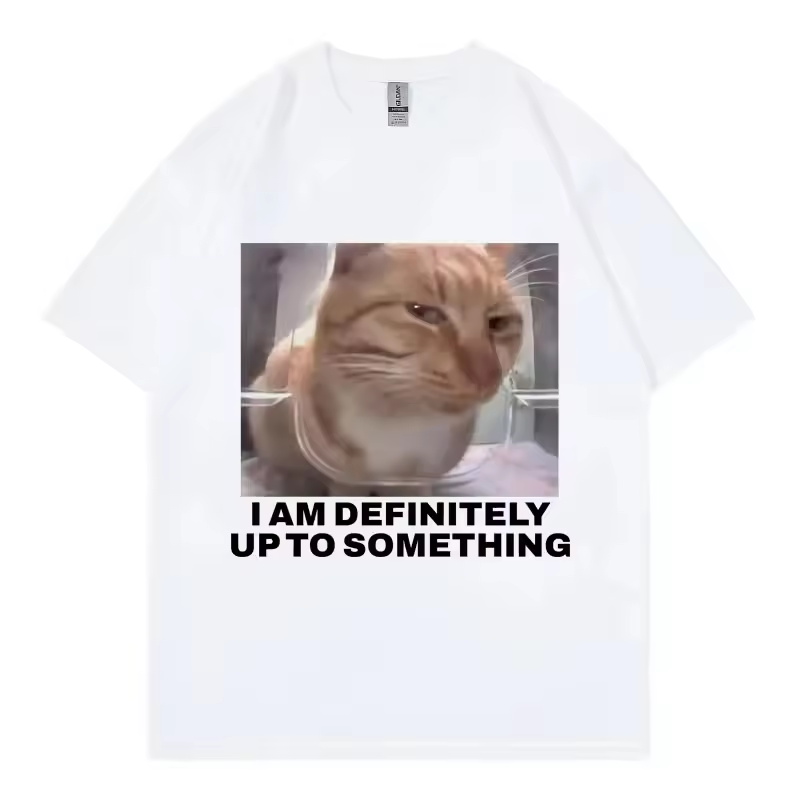 I Am Definitely Up To Somethin - огляд і ціна Street Fashion Definition
